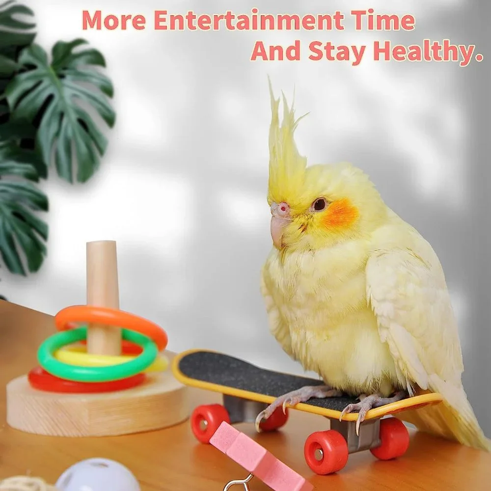 Bird Toys for Parakeets,5pcs Parrot Toys Set Include Bird Basketball Toy